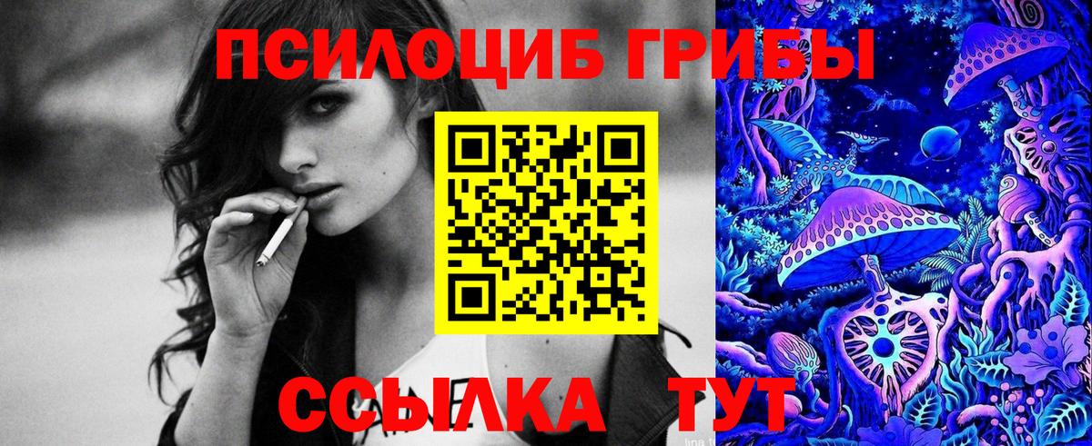 Коркино  Галлюциногенные грибы мицелий  Псилоцибиновые грибы GOLDEN TEACHER  Вход с VPN 